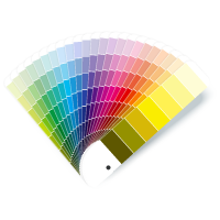 Number Plate Colours